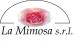 La Mimosa SRL